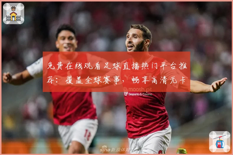 免费在线观看足球直播热门平台推荐：覆盖全球赛事，畅享高清无卡顿体验